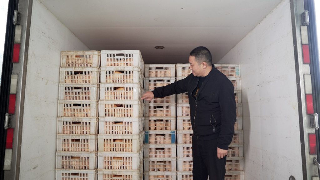 江淮1卡与1号伙伴唐加齐双向奔赴,百万公里无大修破记录 - 第3张 - 提加商用车网 江淮1卡与1号伙伴唐加齐双向奔赴,百万公里无大修破记录 - 第3张