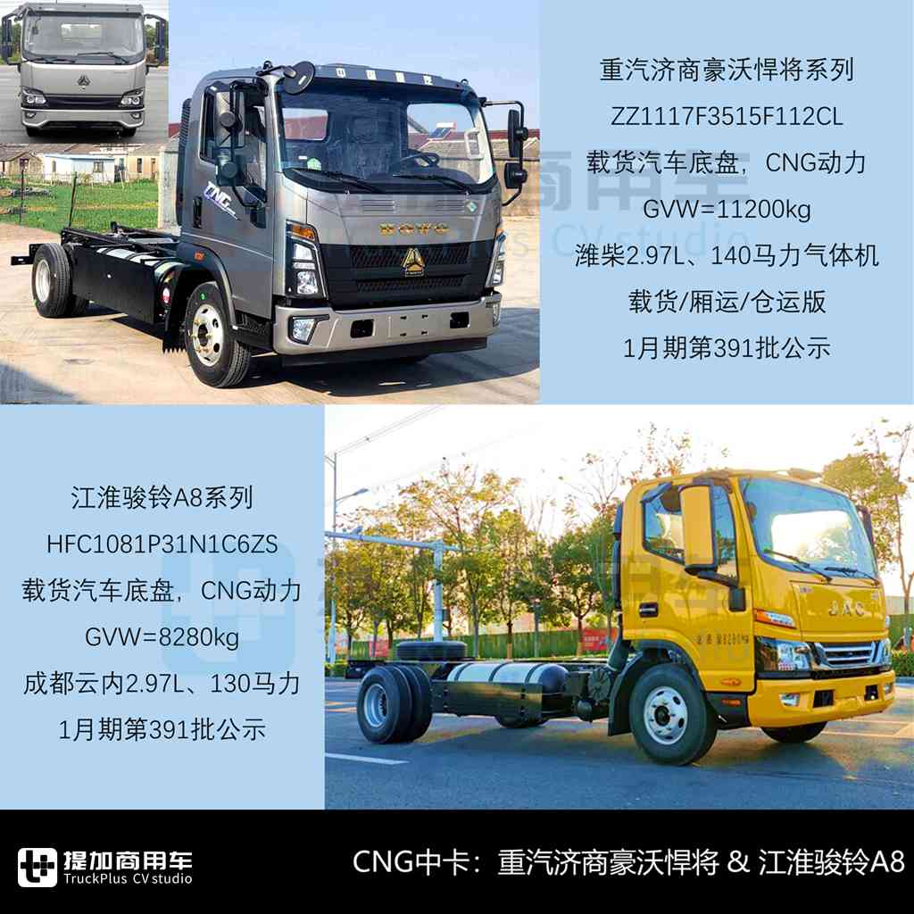 首月轻卡市场走低，中轻卡燃气化趋势加大，2025年1-2月期N类中/轻/微卡公示新品盘点 - 第7张