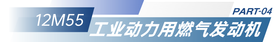 闪耀cippe2025,潍柴为油气田配套交出中国设备动力解决方案 - 第8张 - 提加商用车网 闪耀cippe2025,潍柴为油气田配套交出中国设备动力解决方案 - 第8张