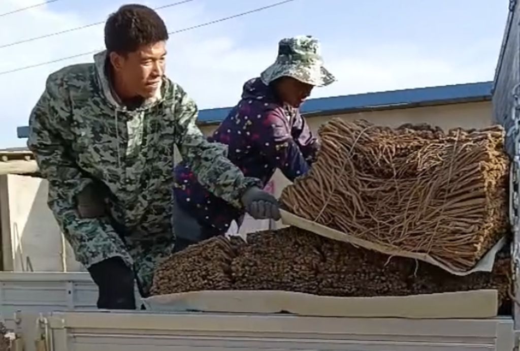 甘肃药材贩运陈师傅:领航大G让药材运输更轻松 - 第2张 - 提加商用车网 甘肃药材贩运陈师傅:领航大G让药材运输更轻松 - 第2张