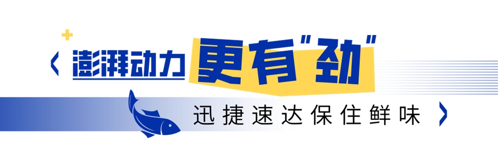 千岛湖的“鲜”味速递,新KV600的活鱼运输高效之道 - 第4张 - 提加商用车网 千岛湖的“鲜”味速递,新KV600的活鱼运输高效之道 - 第4张