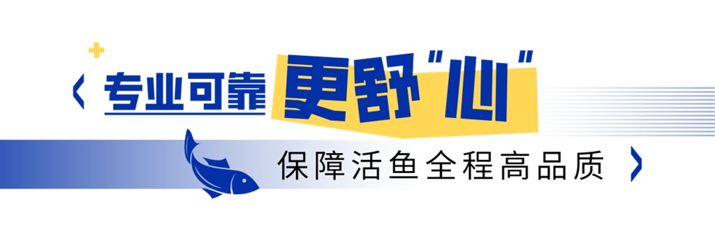 千岛湖的“鲜”味速递,新KV600的活鱼运输高效之道 - 第8张 - 提加商用车网 千岛湖的“鲜”味速递,新KV600的活鱼运输高效之道 - 第8张