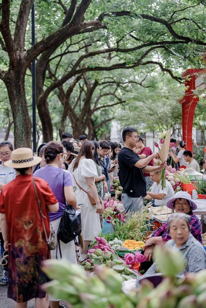 央视报道:苏州金龙海格蔚蓝公交“荷花专线”火出圈! - 第1张 - 提加商用车网 央视报道:苏州金龙海格蔚蓝公交“荷花专线”火出圈! - 第1张