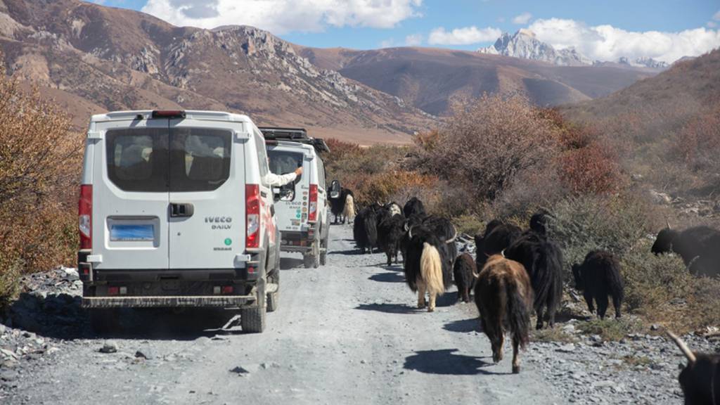 欧霸·山海:一场关于“移动的家”与人生征途的深度对话 - 第3张 - 提加商用车网 欧霸·山海:一场关于“移动的家”与人生征途的深度对话 - 第3张