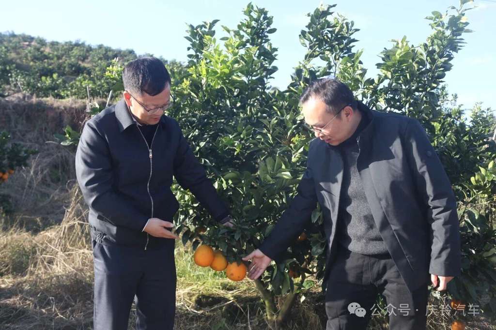 庆铃集团党委书记、董事长罗宇光率队赴酉阳县调研 助力乡村振兴 - 第2张 - 提加商用车网 庆铃集团党委书记、董事长罗宇光率队赴酉阳县调研 助力乡村振兴 - 第2张