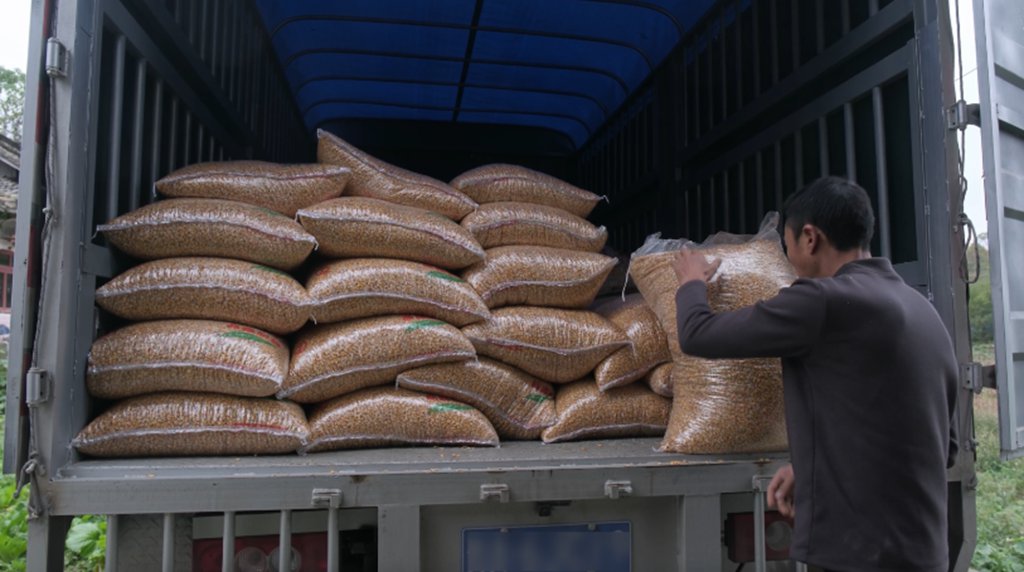 重载征云贵:领航大G-重载版如何成为周师傅的生意引擎 - 第3张 - 提加商用车网 重载征云贵:领航大G-重载版如何成为周师傅的生意引擎 - 第3张