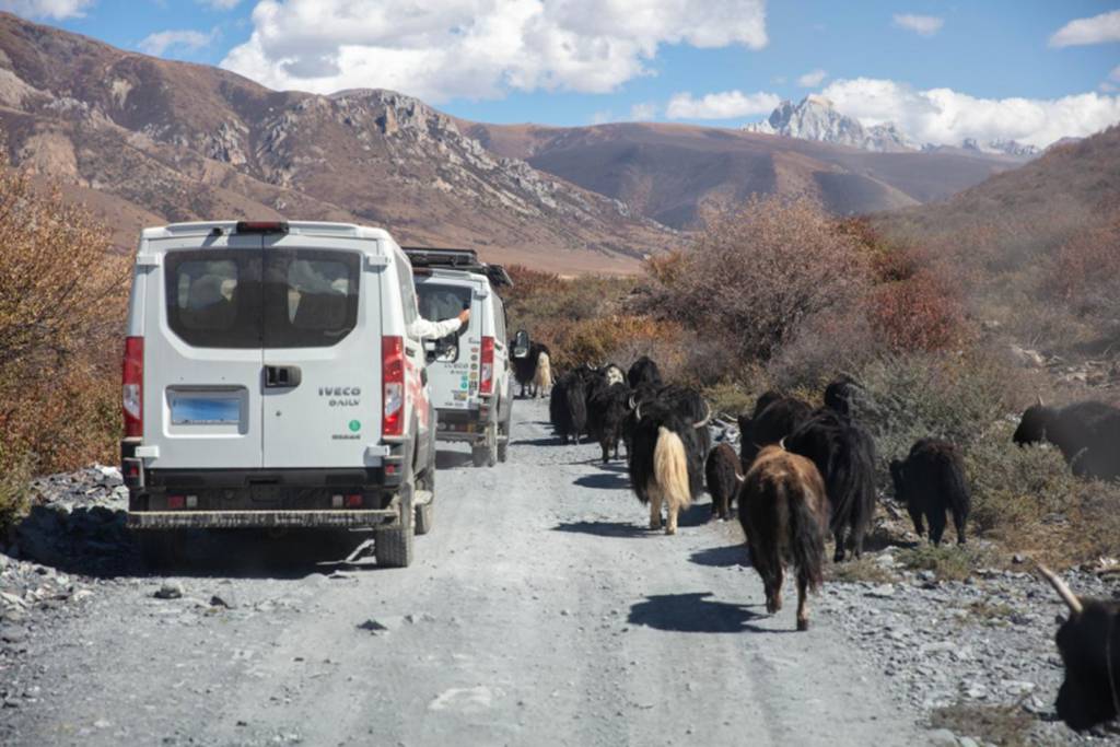 越野新王者！欧霸·山海获“专业越野车型”荣誉，定义硬核标准 - 第3张