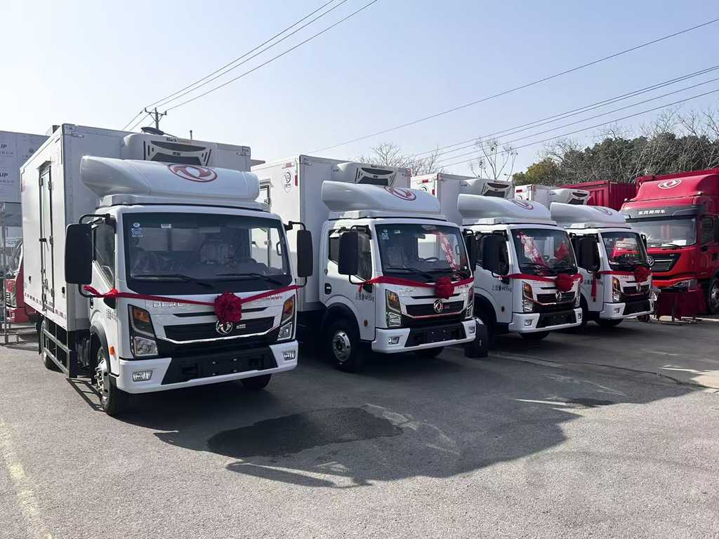 东风多利卡王者归来！重塑 “包邮区” 快递运输新标杆 - 第3张