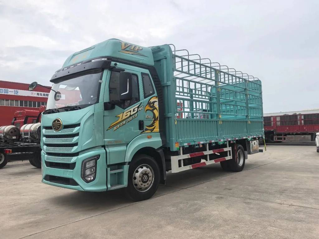 J6G Pro载货车，陪你一路向前！ - 第4张