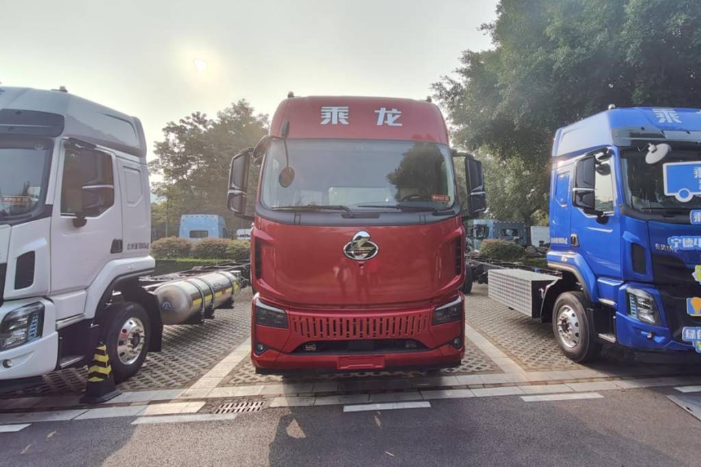 鲜乘直通车 | 换好车，开好头，乘龙翼威5纯电大单桥助力卡友开年就赚钱 - 第1张