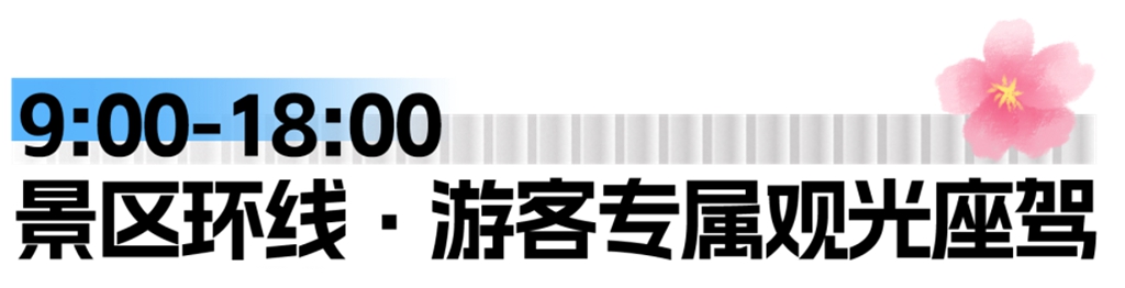 Hello，我是安凯G60E！欢迎收看我的上班Vlog - 第2张