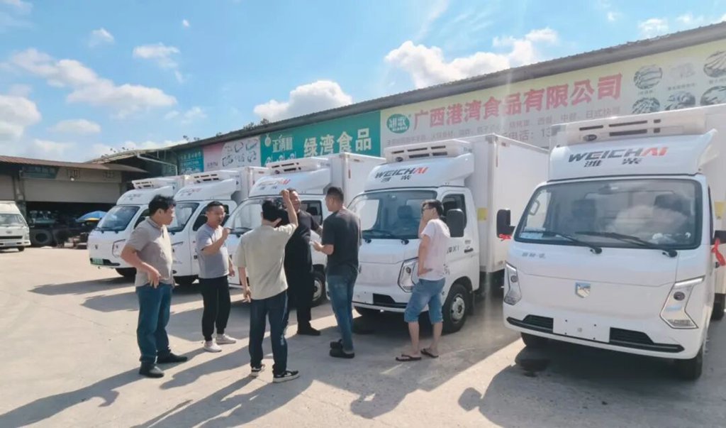 实力交付！潍柴蓝擎X1冷藏小卡赋能县域物流焕新升级！ - 第2张