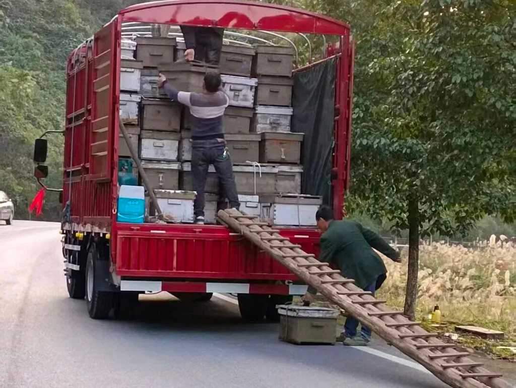 【江淮1卡车友记·六十一】巾帼卡姐驰骋货运路,江淮 1 卡帅铃伴她一路前行 - 第3张 - 提加商用车网 【江淮1卡车友记·六十一】巾帼卡姐驰骋货运路,江淮 1 卡帅铃伴她一路前行 - 第3张