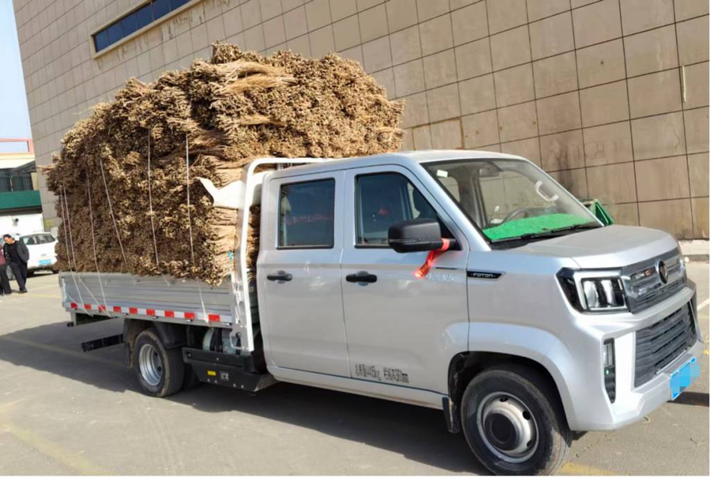 两吨药材一趟装，长途运输不慌张——沙师傅药材运输路上的“省心搭档” - 第2张