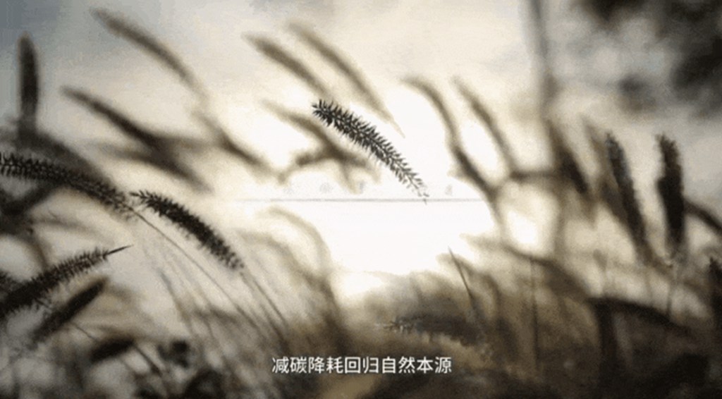 共赴绿色未来丨山东重工越南全球合作伙伴大会主题曲《WE ARE ONE》重磅首发 - 第4张 - 提加商用车网 共赴绿色未来丨山东重工越南全球合作伙伴大会主题曲《WE ARE ONE》重磅首发 - 第4张