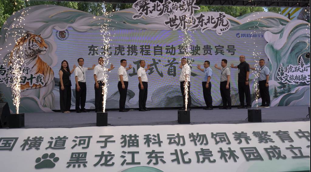 全球首款!金旅自动驾驶观虎神车正式上线,惊艳全球老虎日 - 第1张 - 提加商用车网 全球首款!金旅自动驾驶观虎神车正式上线,惊艳全球老虎日 - 第1张
