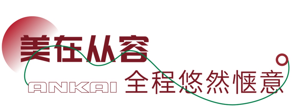 当美学遇见盛景，与安凯E12S共赴一场城市漫游 - 第5张