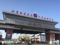斯堪尼亚,沃尔沃、曼恩,在北京新发地逛了一圈发现尽是高端卡车