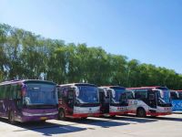 县域公交如何破局？看富裕“小县城”释放转型大能量