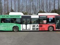 杭州比亚迪公交化身“中意巴士”,为意大利加油!