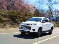 极“智”诱惑，域虎9柴油版来了！