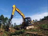 玉柴重工与广西最大林场签约合作