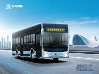 聚信心之力，书时代新章丨金龙客车连续20年服务两会