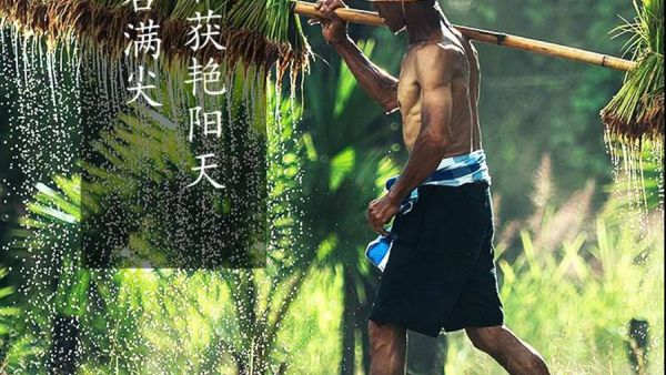 陕汽TCO托管服务，让您专心赚钱后顾无忧