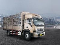 站稳C位，奥铃大黄蜂home版带你一赚到底!