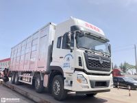 专业的猪崽运输车,售价高达80万?天龙VL载货车底盘的畜禽运输车实拍