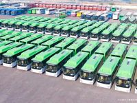 2020征途过半,不念过往,不畏将来!