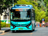 节气•大暑 | 最苦是炎蒸,蒲扇亦轻摇