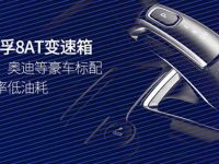 2020款域虎7大型品鉴会席卷全国,上市即热销!