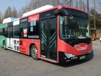 杭州比亚迪公交车——中意巴士,化身爱情助攻,为爱发电