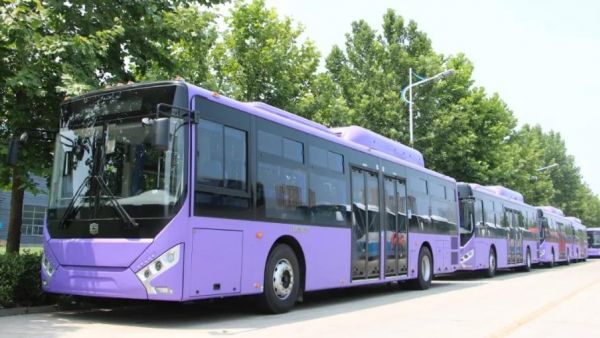 “老友”相约,80台中通客车再赴墨西哥