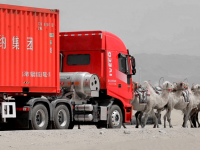 大块头也能“身轻如燕”！红岩杰狮C6 LNG牵引车助力物流高效运输