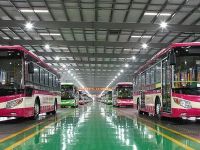 银隆新能源将以起拍价6.46亿元拍卖, 董明珠为第二大股东