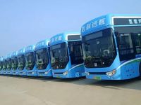 首批50台氢燃料公交上线运营,助力淄博建立氢燃料示范区域
