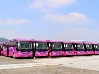 比亚迪C8投运机场快线 助力深圳打造首支纯电动机场快线车队