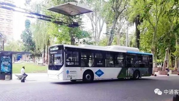 从“新能源”到“定制化”，看中通客车2020海外之路