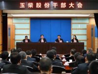 玉柴股份召开干部大会 李汉阳兼任玉柴股份董事长