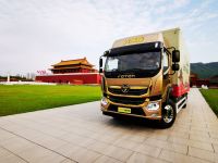 至尊龙椅 王者天下 奥铃大黄蜂皇宫版全球上市！