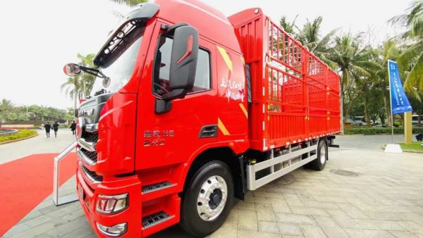 身怀三大绝招,跑绿通无懈可击!