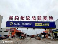 节油高效，驾驶员齐点赞，黑豹物流2年多购买26辆斯堪尼亚卡车