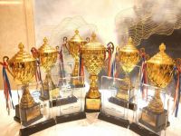 超强实力派 赛场见真章，比亚迪V3揽获中国新能源物流车挑战赛六项大奖