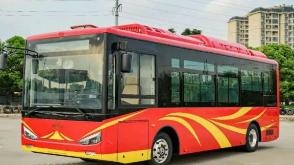 井冈山牌,上新!