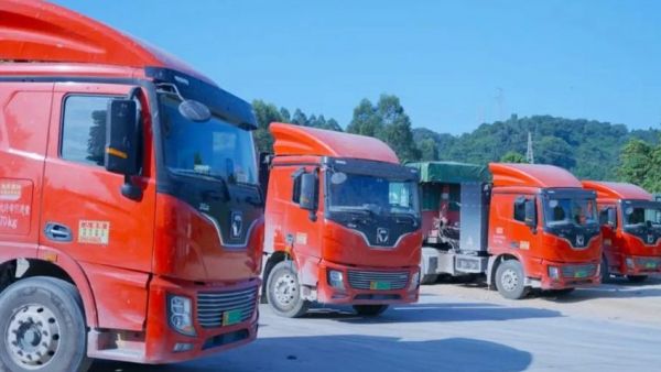 零碳先锋 | 百台徐工新能源助力福建客户成功创富!