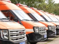 “森林护卫队”，出击！