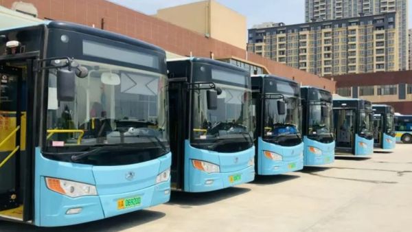 晶马汽车:可以说是非常“养生”了 