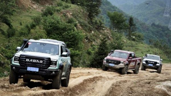 这场“倒春寒”中，大道皮卡的货厢中装满了春天...